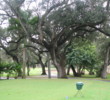 The Biltmore Hotel Golf Course - Hole 13