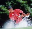 tigerwoods