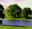 Bluegreen - Environment