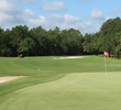 Okefenokee Country Club - Tidwarf Greens