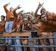 Texas Longhorn Fans