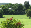 Ironshore Golf & Country Club - Montego Bay