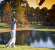Emotional Caddie