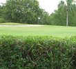 Mangrove Bay Golf Course - Hole 16