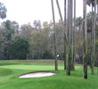 TPC Sawgrass - Stadium Course
