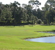 Copperhead Golf Course at Innisbrook Resort