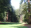 Northwood Golf Club
