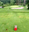 Forward Golf Tees