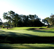 South Course - Fairway