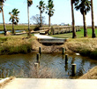 Moody Gardens Golf Course - Bridge