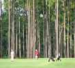 Lakes at Laura Walker State Park Golf Course