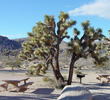 Joshua Tree National Park