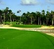 Iberostar Playa Paraiso Golf Club - Greens