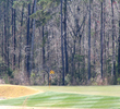 Hampton Hall Country Club - Pine Forest