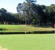 Sea Trail Golf Resort and Convention Center - Maples course