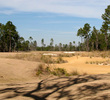 The Preserve Golf Club - Nature Preserve