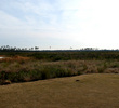The Preserve Golf Club - 14th Green