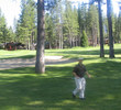 Dr. Mac at Whitehawk Ranch Golf Club - Reno/Lake Tahoe area