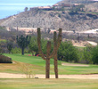 Palmilla Golf Club - Cactus Fairway