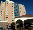 Bayonet Black Horse - Embassy Suites