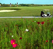 Mangolia Creek Golf Links - Clubhouse