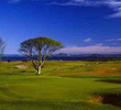Tom Doak's Renaissance Club