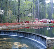 Callaway Gardens - Azalea Bowl