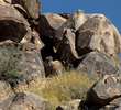Ritz-Carlton - Dove Mountain Petrographs