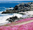 Pacific Grove, California
