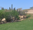 Cabo Real golf course - greens