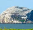 Bass Rock