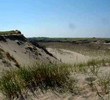 Cape Cod - Dunes