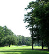Golden Bear Golf Club at Indigo Run - Trees