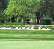 Copperhead at Innisbrook Resort