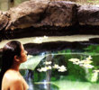 Kohala Sports Club & Spa