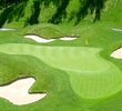 Forest Greens Golf Club - Greens