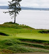 Chambers Bay Golf Course - Hole 15