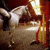 Gleneagles Hotel - equestrian center