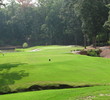Plantation G.C. at Reynolds Plantation - hole 8