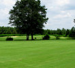 Penny Branch Club - No. 16