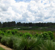 Crooked Cat Golf Course - Hole 13