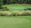 Reynolds Golf Academy - practice green