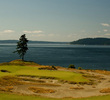 Chambers Bay Golf Course in Tacoma - Hole 15