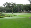 Dataw Island Golf Course - Morgan River - Hole 10