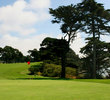 Harding Park Golf Course - Hole 15 Green