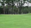 Callawassie Island Club - Palmetto - hole 1