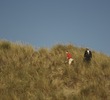 Bandon Trails course at Bandon Dunes