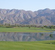 Desert Willow Mountain View 