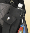 The Golfing Caddy - closeup