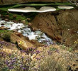 Wolf Creek Golf Club